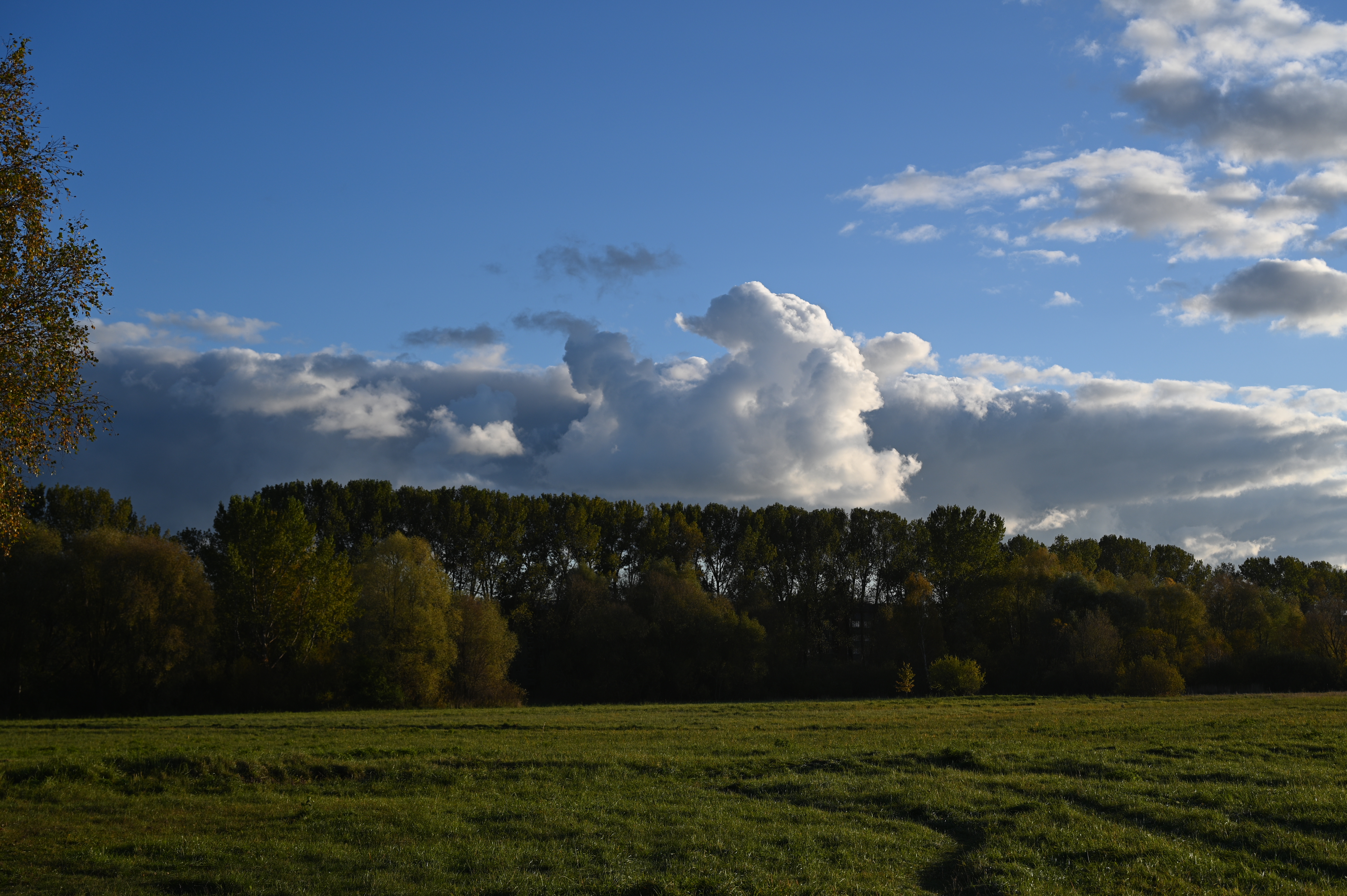 2025/10/18 - walk/DSC_0157.JPG